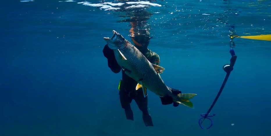 More Great Lakes spearfishing? Michigan anglers push for better opportunities
