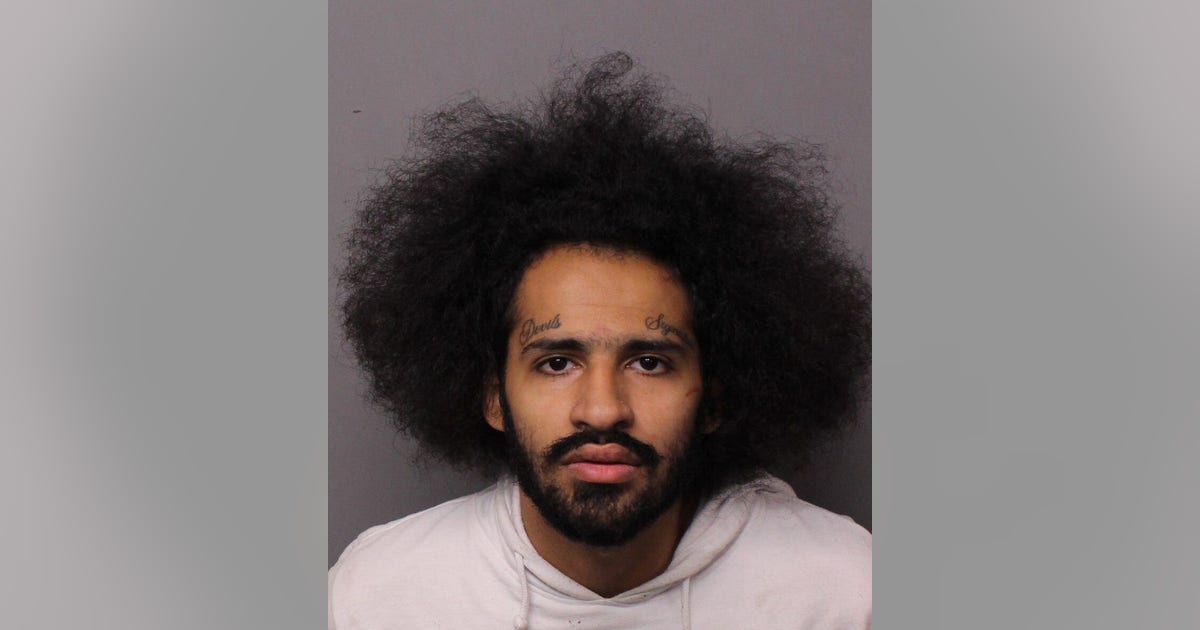 Canton man charged in triple stabbing of mother and siblings | FOX 2 ...