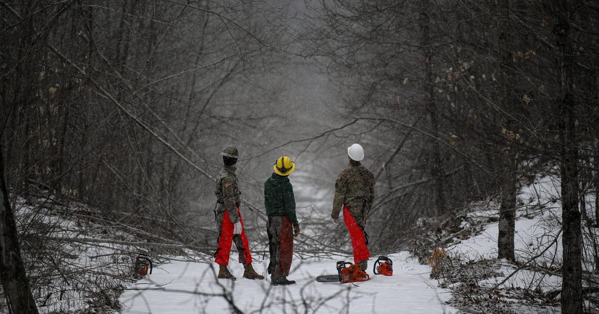 Michigan's devastating ice storm impacts continue to ripple, including ...