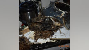 Animal nest in kitchen exhaust vent leads to Ann Arbor apartment fire