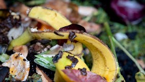 Washtenaw County launches food scrap composting pilot program - How to sign up