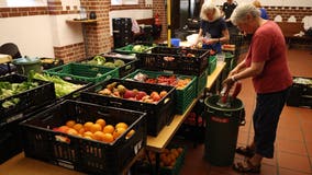 Michigan pauses SNAP benefits: How you can help while many turn to food banks