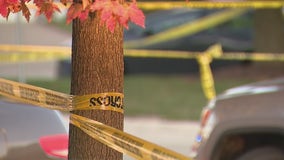 Three family members stabbed in Canton, suspect arrested