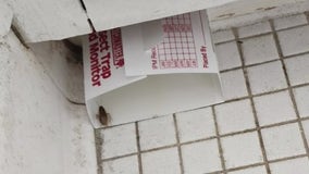 Southfield apartment tenant faces eviction following roach dispute