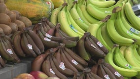 Detroit People's Food Co-op to work with community as SNAP benefit pause looms