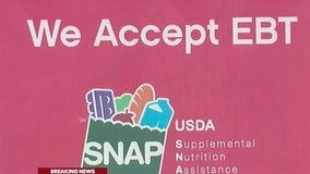 SNAP food benefits must continue judges say, while Detroit food banks feel the strain