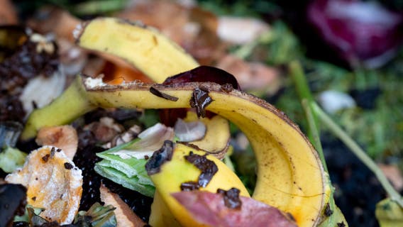 Washtenaw County launches food scrap composting pilot program - How to sign up