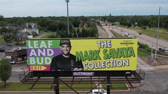 Mark Savaya, Michigan cannabis businessman, appointed as special envoy to Iraq