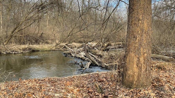 New Oakland County Park coming along Clinton River
