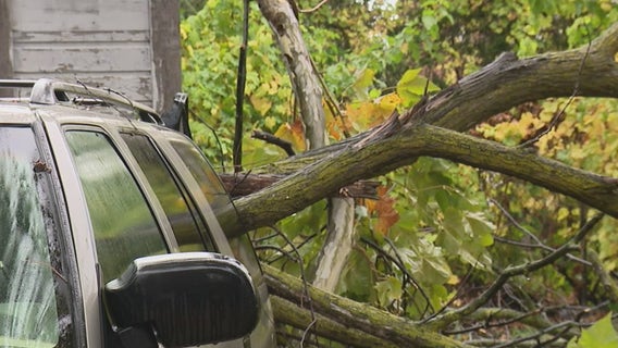 Metro Detroit cleans up after rain and wind slam neighborhoods