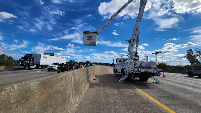 Buck rescued in Auburn Hills after getting hit by car and wedged between I-75 barriers