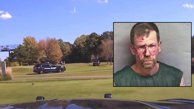 WATCH: Macomb County carjacking, home invasion suspect leads police on chase through golf course