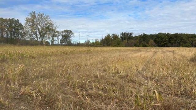 Michigan hunting suffering from severe drought conditions impacting state