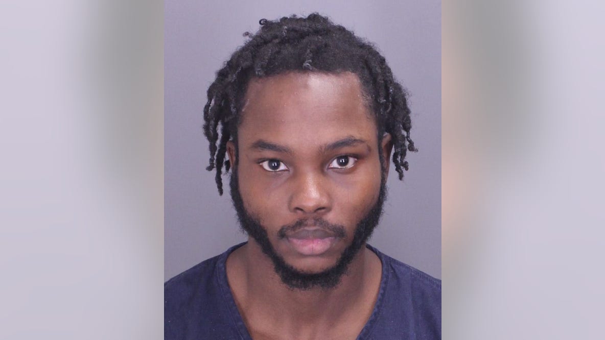 Suspect caught after allegedly breaking into Metro Detroit homes while residents slept