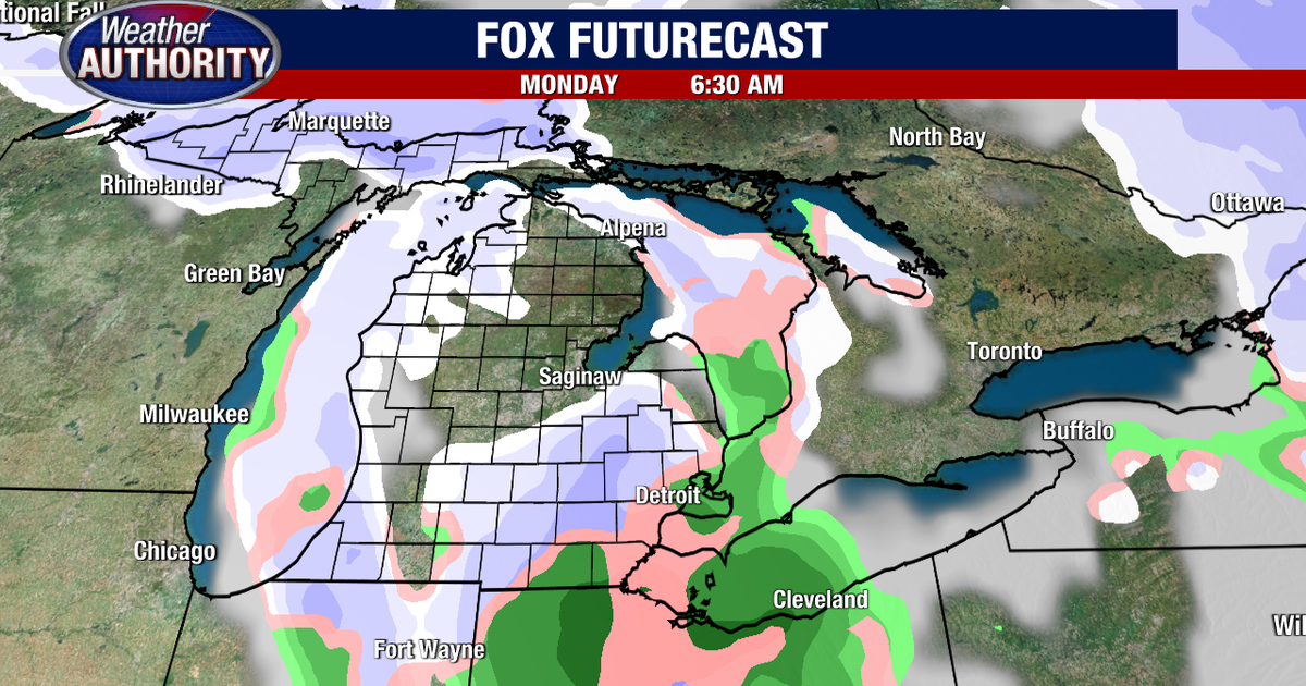 Snow in Metro Detroit: First flakes expected to fall soon | FOX 2 Detroit