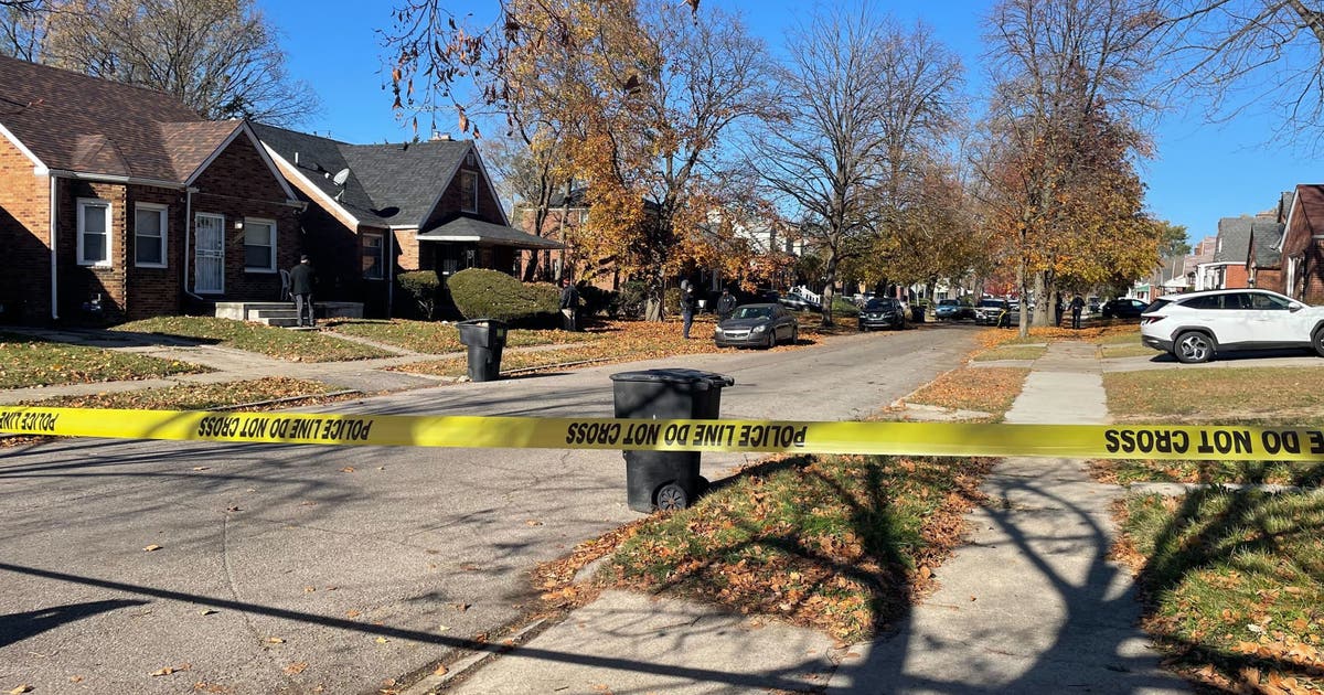 'Very disturbing': Elderly woman shot multiple times by son in Detroit ...