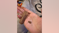 Canton police say sewing needle found in candy from Halloween