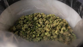 New 24% marijuana state tax proposal getting pushback in court