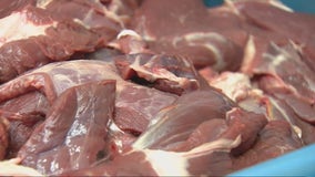 Michigan hunters donate their deer to food banks to help those in need