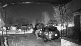 Detroit man shot at while trying to stop an attempted burglary at a home on Braile