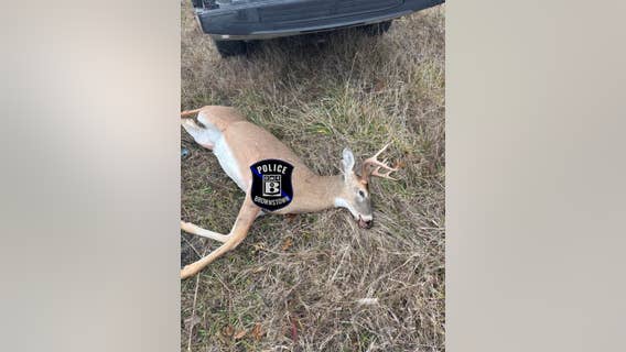 Sound of gunshots leads to discovery of illegal hunting site in Brownstown