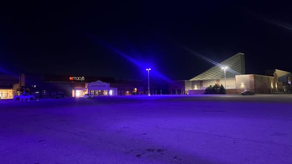 19-year-old stabbed at Southland Mall in Taylor, woman arrested