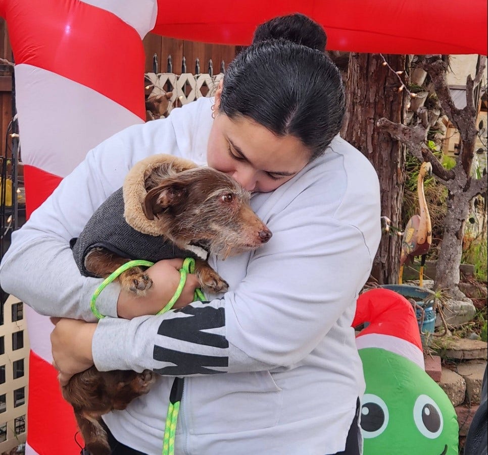 California dog found in Lincoln Park after 4 years, returned to family