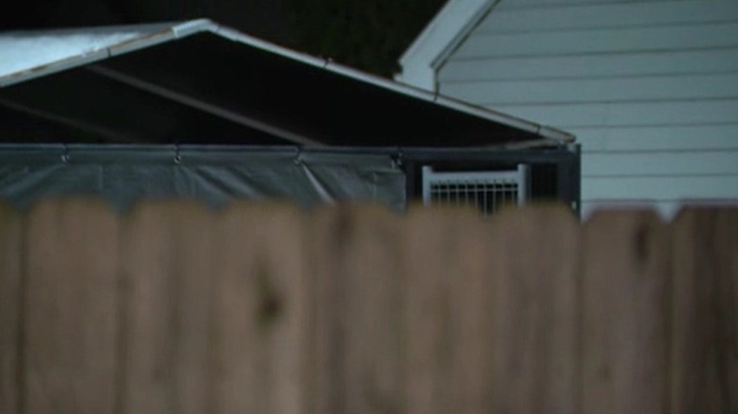 Mt. Clemens residents work to hold neighbor accountable for allegedly leaving dogs outside