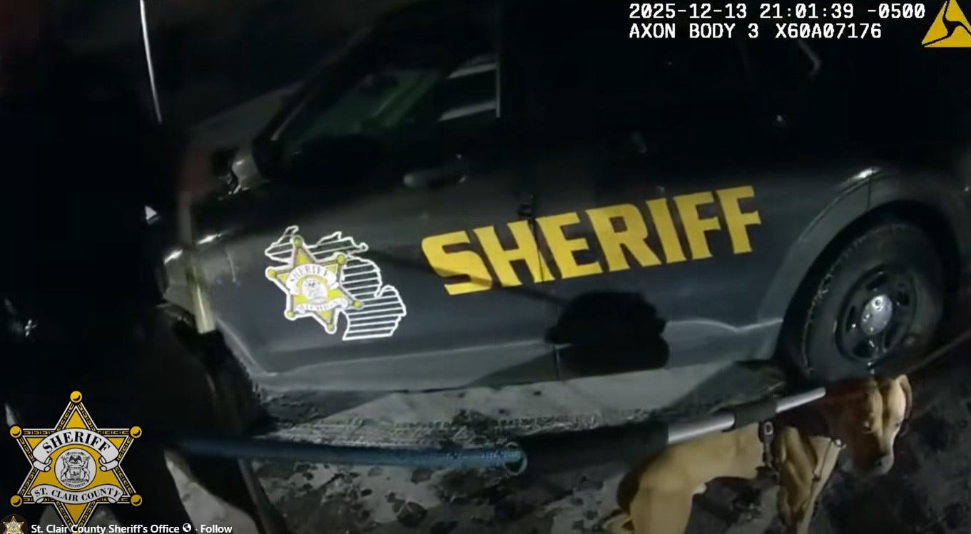 'That dog was dying': St. Clair Co. Sheriff's Office faces backlash after deputies shoot dog
