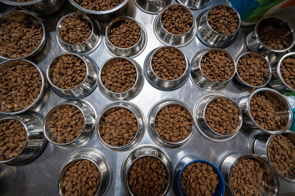 Oakland County Animal Shelter warns of scammer tricking people into donating money