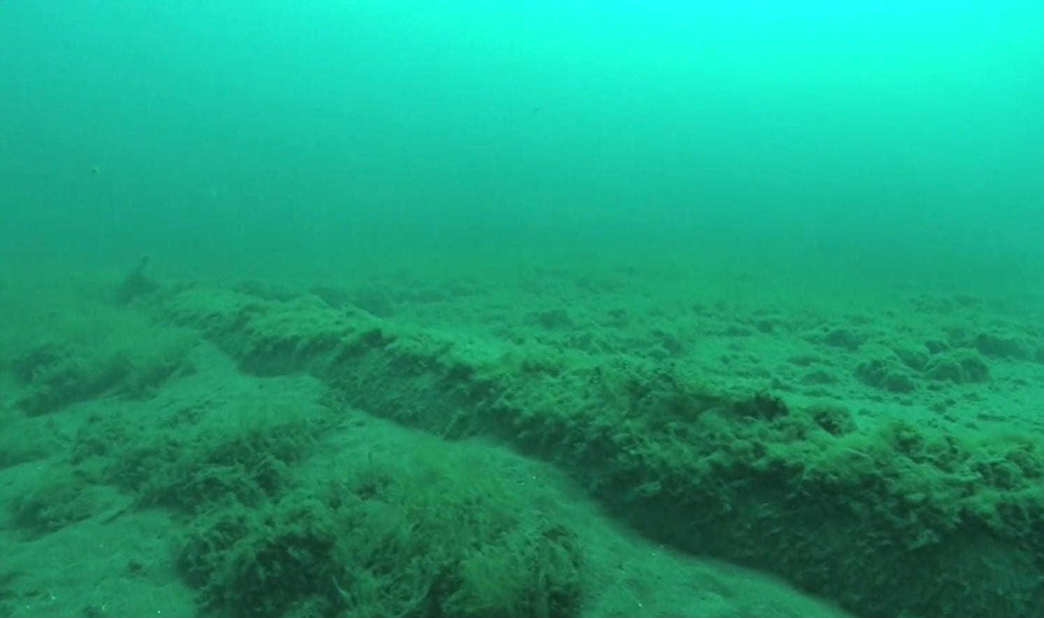 Federal Judge Line 5 ruling: Environmental groups concerned for lake health