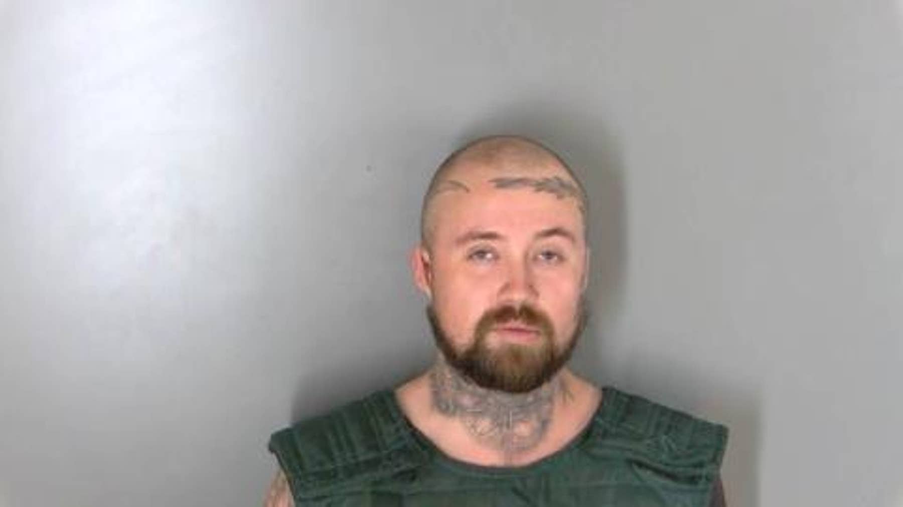 Warren man sentenced after burning down girlfriend's home, killing her cats