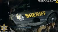 'That dog was dying': St. Clair Co. Sheriff's Office faces backlash after deputies shoot dog