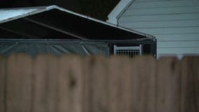 Mt. Clemens residents work to hold neighbor accountable for allegedly leaving dogs outside