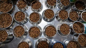 Oakland County Animal Shelter warns of scammer tricking people into donating money