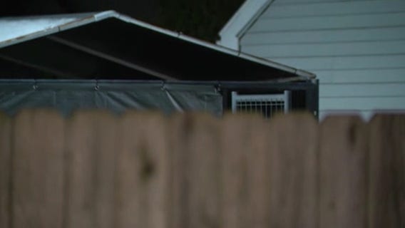 Mt. Clemens residents work to hold neighbor accountable for allegedly leaving dogs outside