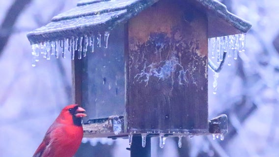 Warmer weather with possible flooding, 60 miles per hour wind gusts coming in next few days