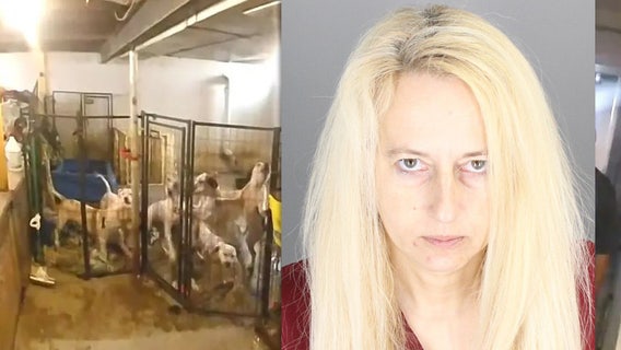 Pontiac woman found guilty of animal neglect after 37 dogs, cats rescued from 'severe, unsanitary' conditions