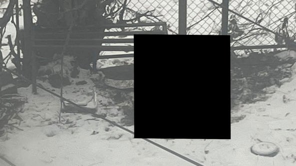 Dog found frozen to death at Detroit home after being allegedly neglected