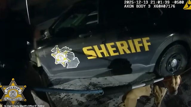 'That dog was dying': St. Clair Co. Sheriff's Office faces backlash after deputies shoot dog