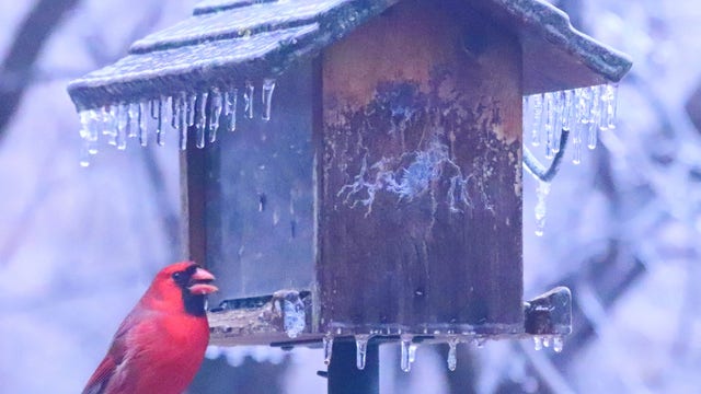 Warmer weather with possible flooding, 60 miles per hour wind gusts coming in next few days