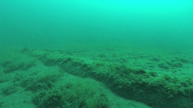 Federal Judge Line 5 ruling: Environmental groups concerned for lake health