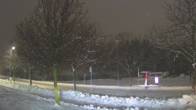 How much snow in Michigan? Totals piling up on Wednesday, Dec. 10