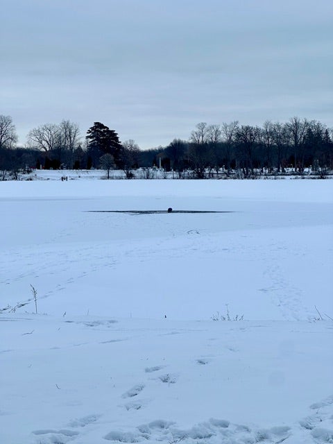 Snowmobiler rescued by residents after falling through ice on Bush Lake in Holly