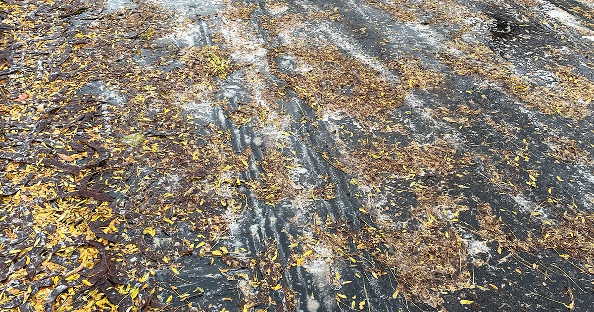 'Nature's Tide Pods?' Behind the strange bubbles spotted in Ann Arbor