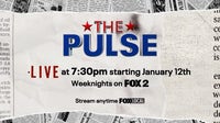 How to watch The Pulse, Detroit's only nightly political show, on FOX 2
