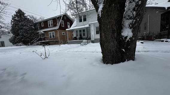 Michigan snow forecast: Weekend outlook shows 3-6 inches Sunday for most of Metro Detroit