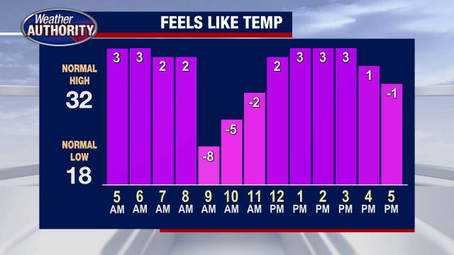 Metro Detroit weather: Another bitter start with negative wind chills