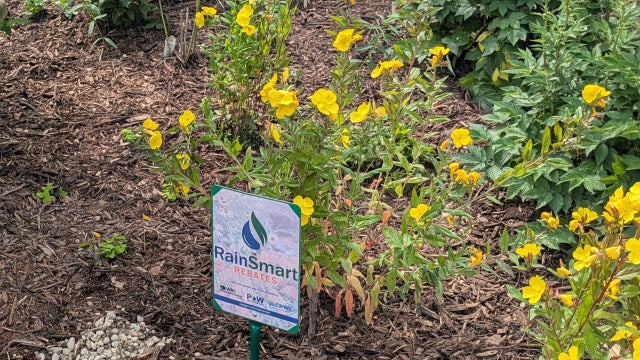 Oakland County RainSmart program expected to keep millions of gallons of water out of sewer - here's how