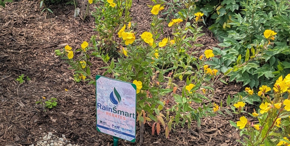 Oakland County RainSmart program expected to keep millions of gallons of water out of sewer - here's how